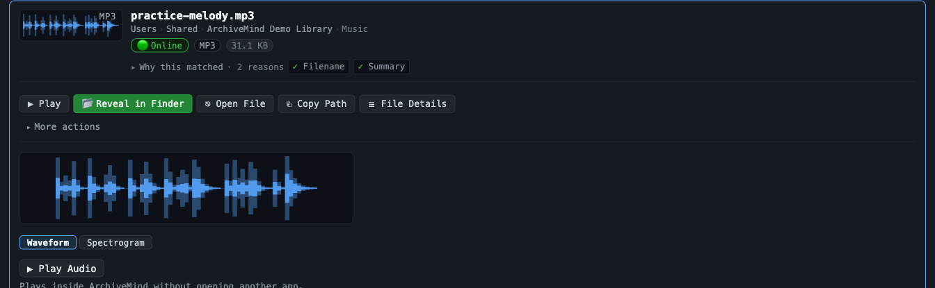 An audio file's preview: the waveform with clear peaks and valleys, a Waveform and Spectrogram toggle beneath it, and a Play Audio button that plays inside ArchiveMind
